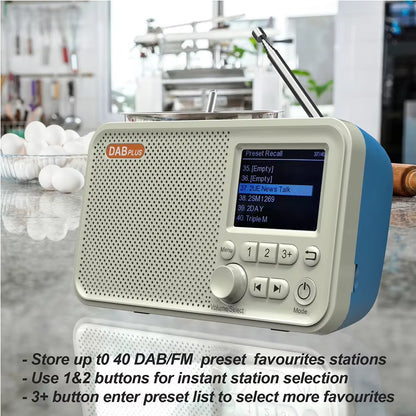 C10 Radio Portable Radio LCD Screen Alarm Clock DAB DAB+ FM Bluetooth-Compatible Broadcasting Radio Supports TF Card MP3 Player