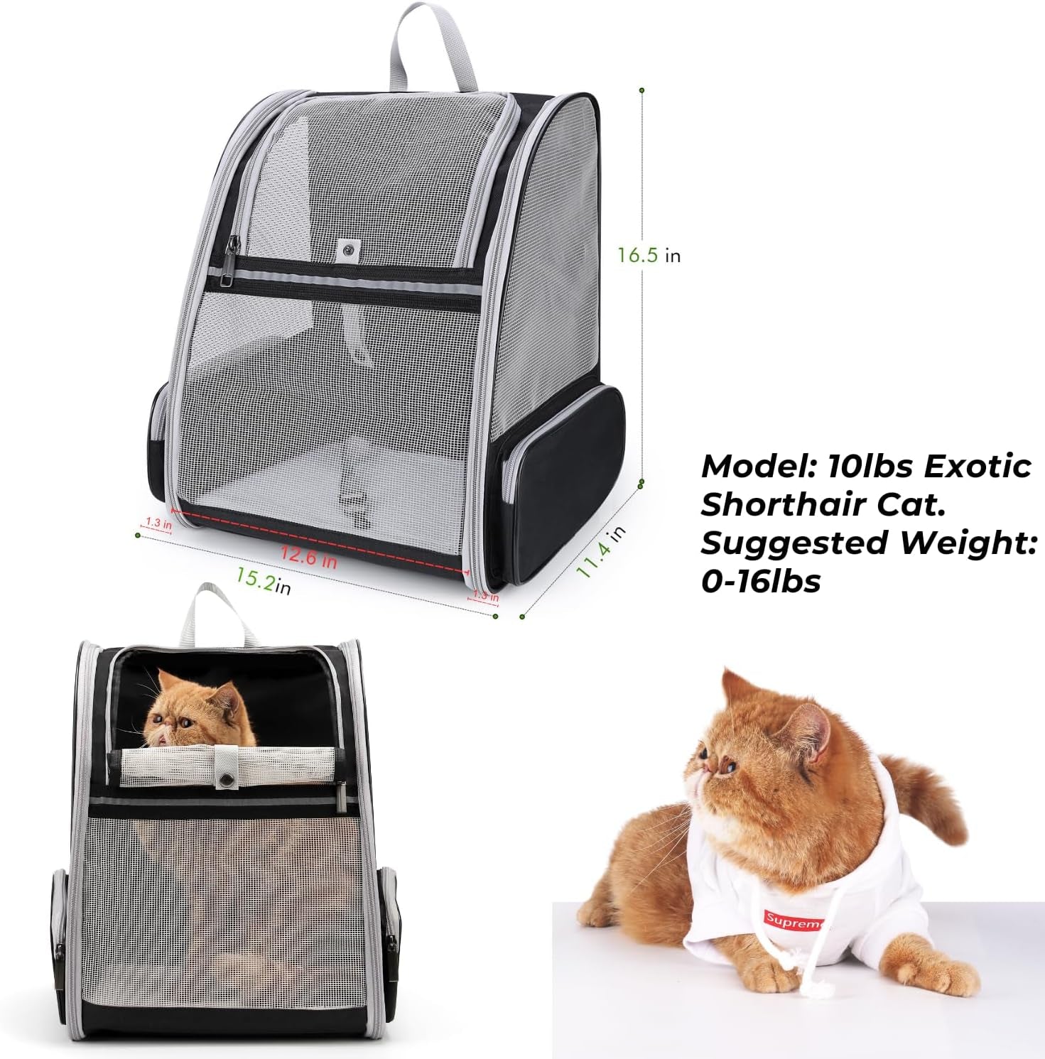 Ultimate Pet Carrier Backpack - Airline Approved, Fully Ventilated Mesh for Dogs & Cats - Perfect for Travel, Hiking & Outdoor Adventures!