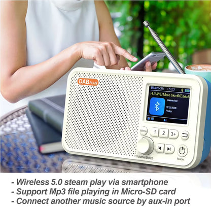 C10 Radio Portable Radio LCD Screen Alarm Clock DAB DAB+ FM Bluetooth-Compatible Broadcasting Radio Supports TF Card MP3 Player