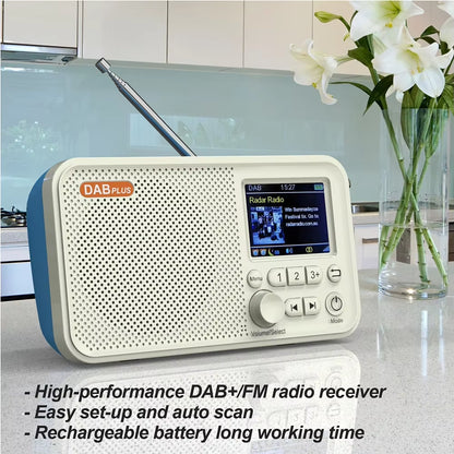 C10 Radio Portable Radio LCD Screen Alarm Clock DAB DAB+ FM Bluetooth-Compatible Broadcasting Radio Supports TF Card MP3 Player