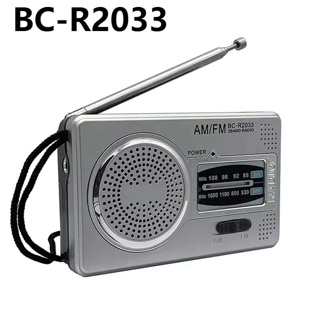 C10 Radio Portable Radio LCD Screen Alarm Clock DAB DAB+ FM Bluetooth-Compatible Broadcasting Radio Supports TF Card MP3 Player