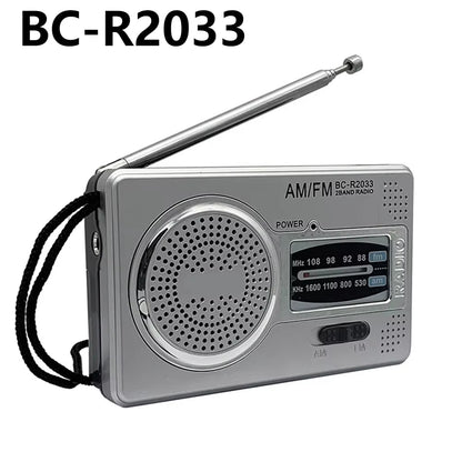 C10 Radio Portable Radio LCD Screen Alarm Clock DAB DAB+ FM Bluetooth-Compatible Broadcasting Radio Supports TF Card MP3 Player