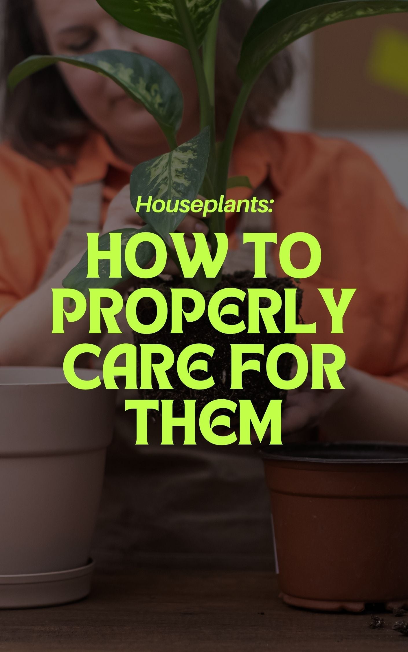 Home and Garden Digital Product Collections