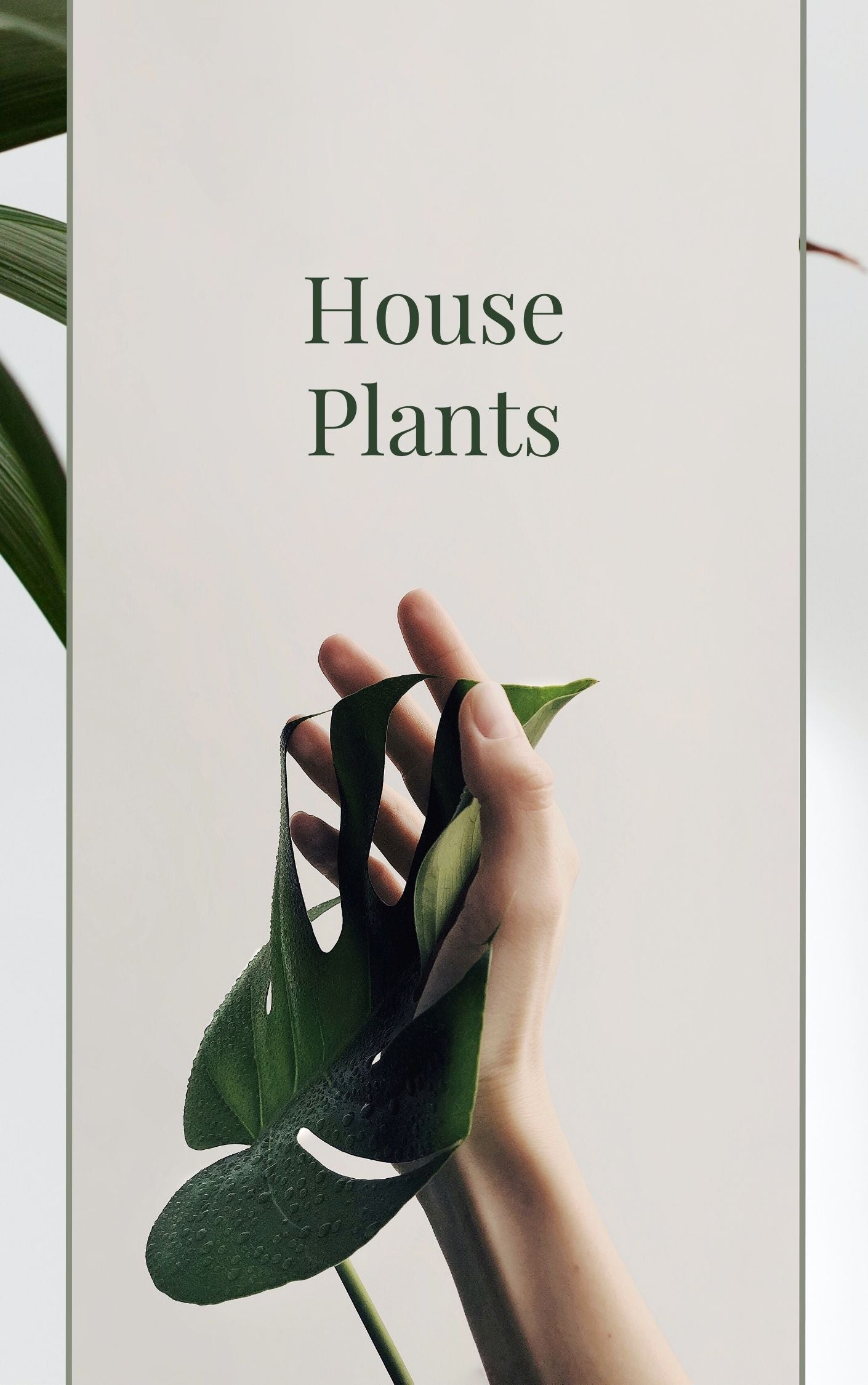 Home and Garden Digital Product Collections